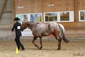 21-ApHC HMC_069